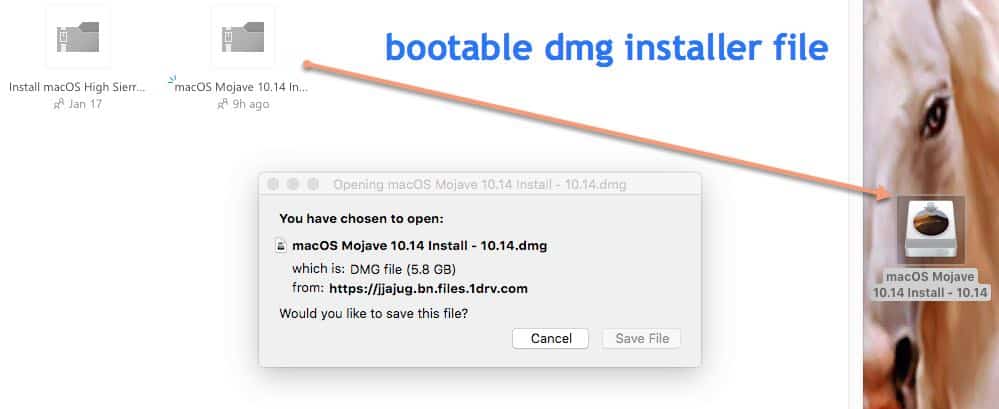 Download mac os dmg file